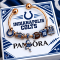 IDC Silver Charm Bracelet Set NTVA